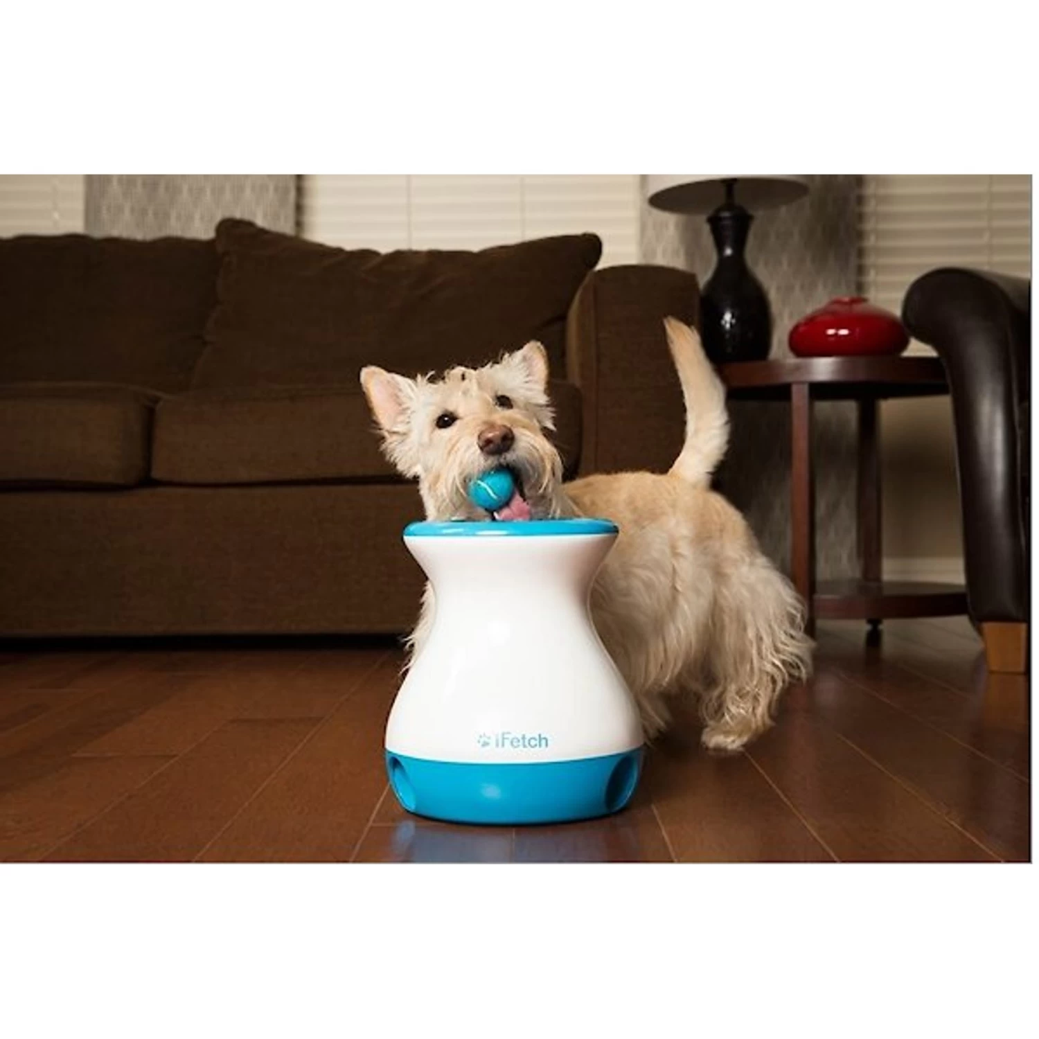 IFetch Tennis Balls - Image 6