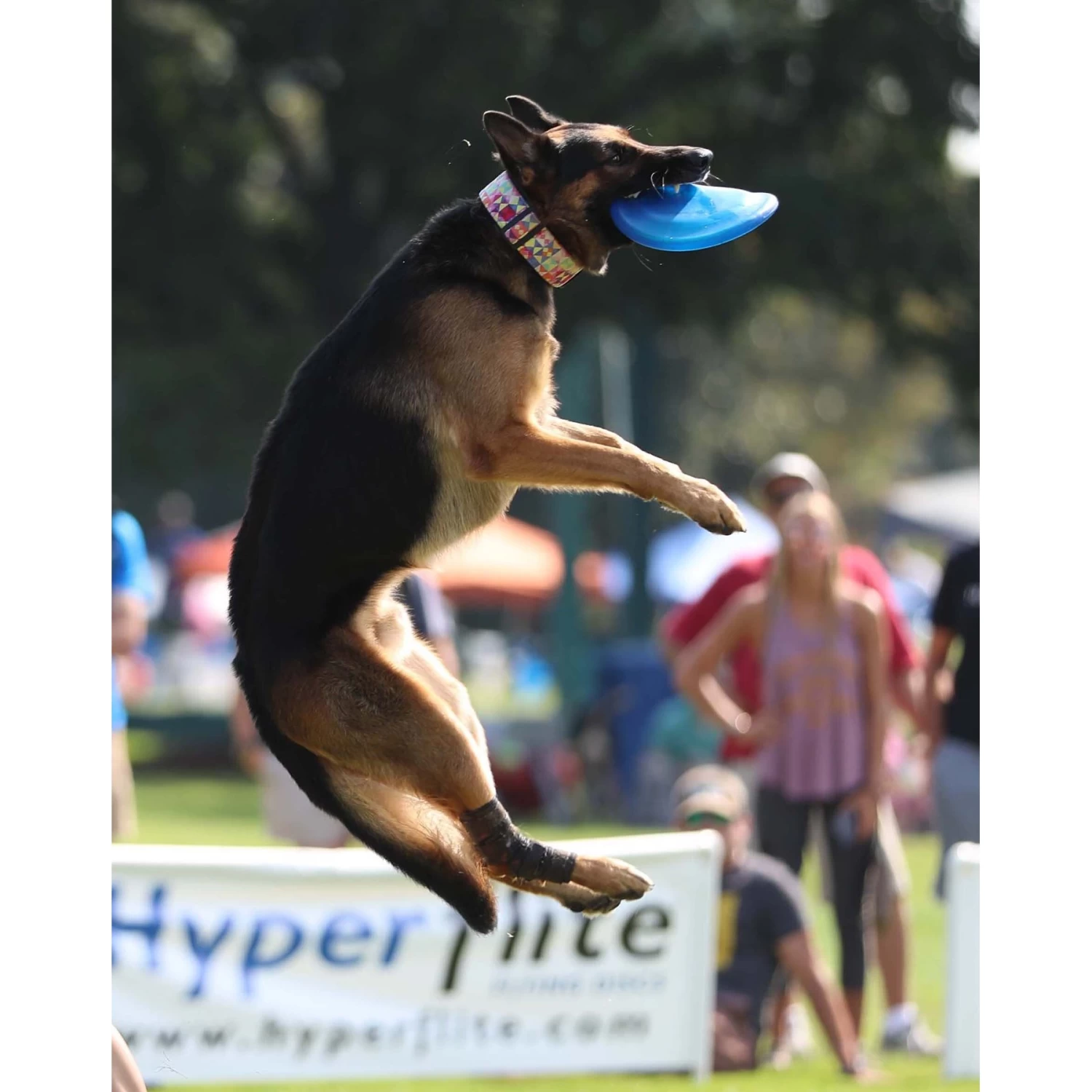 Hyperflite Jawz Disc - Image 8