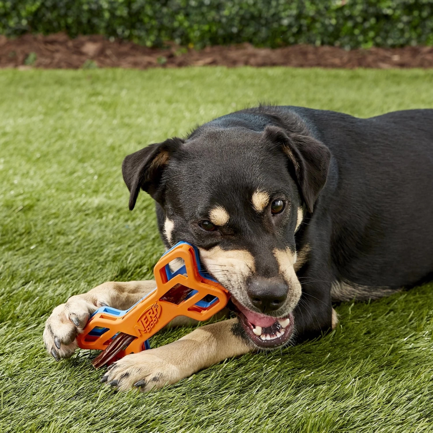 Nerf Dog EXO Treat Dispensing Bone Dog Toy - Image 6