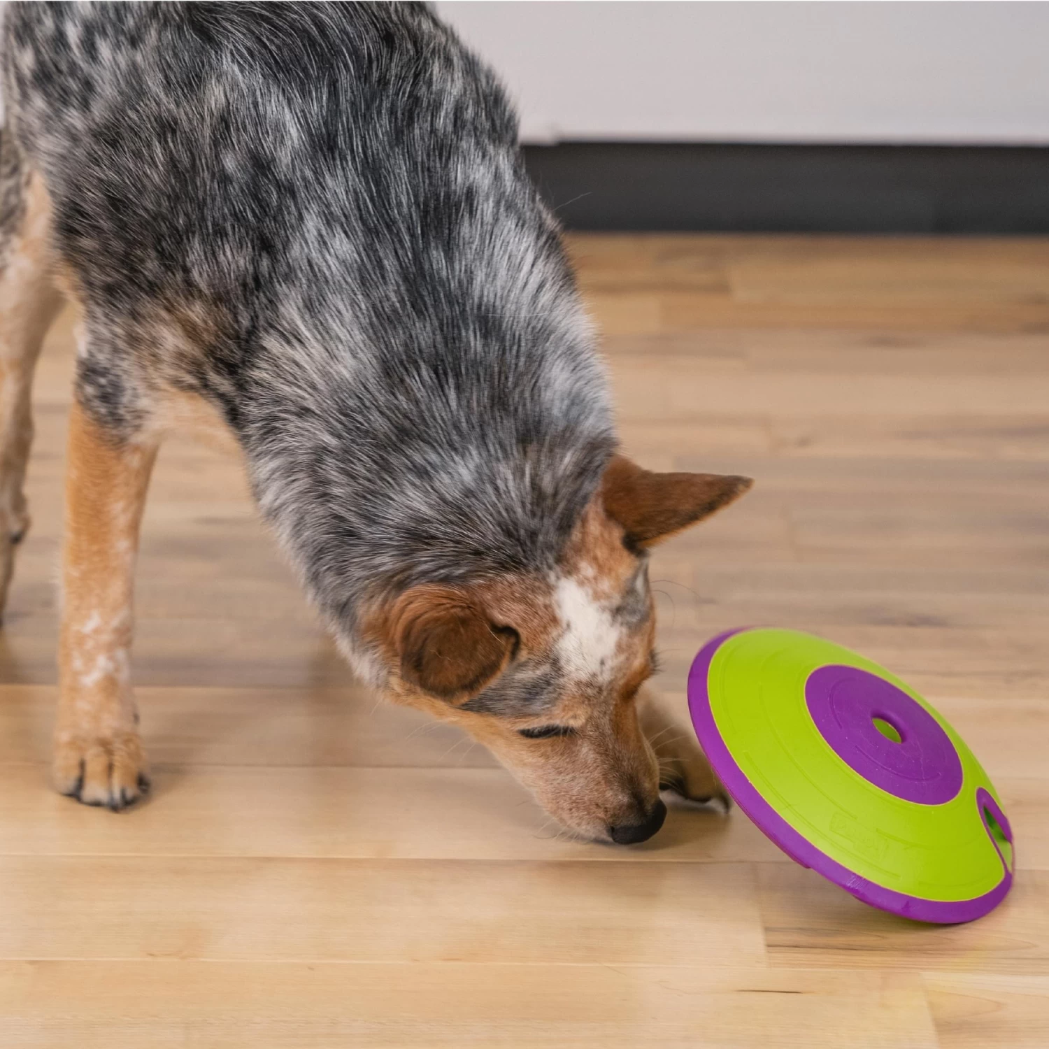 Nina Ottosson By Outward Hound Treat Maze Puzzle Game Dog Toy - Image 5