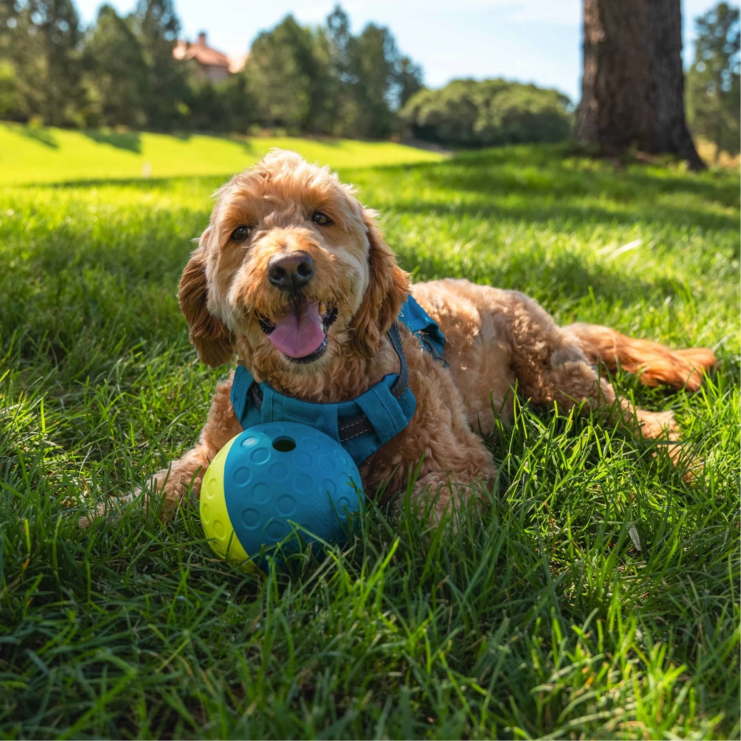 Nina Ottosson By Outward Hound Treat Tumble Puzzle Game Dog Toy - Image 5