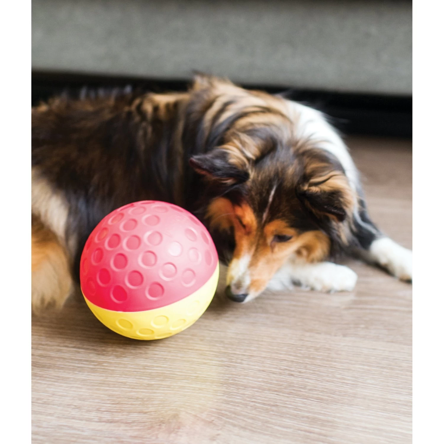 Nina Ottosson By Outward Hound Treat Tumble Puzzle Game Dog Toy - Image 8