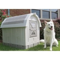 Dog Palace Dog House