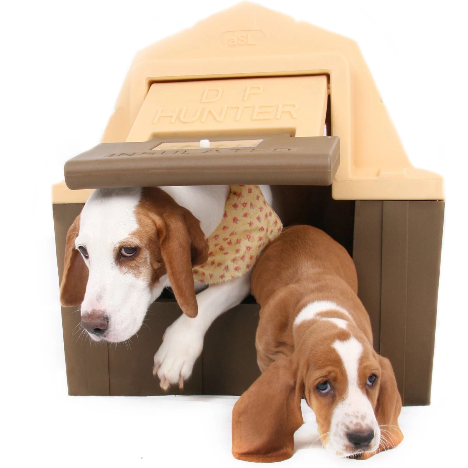DP Hunter Dog House - Image 7