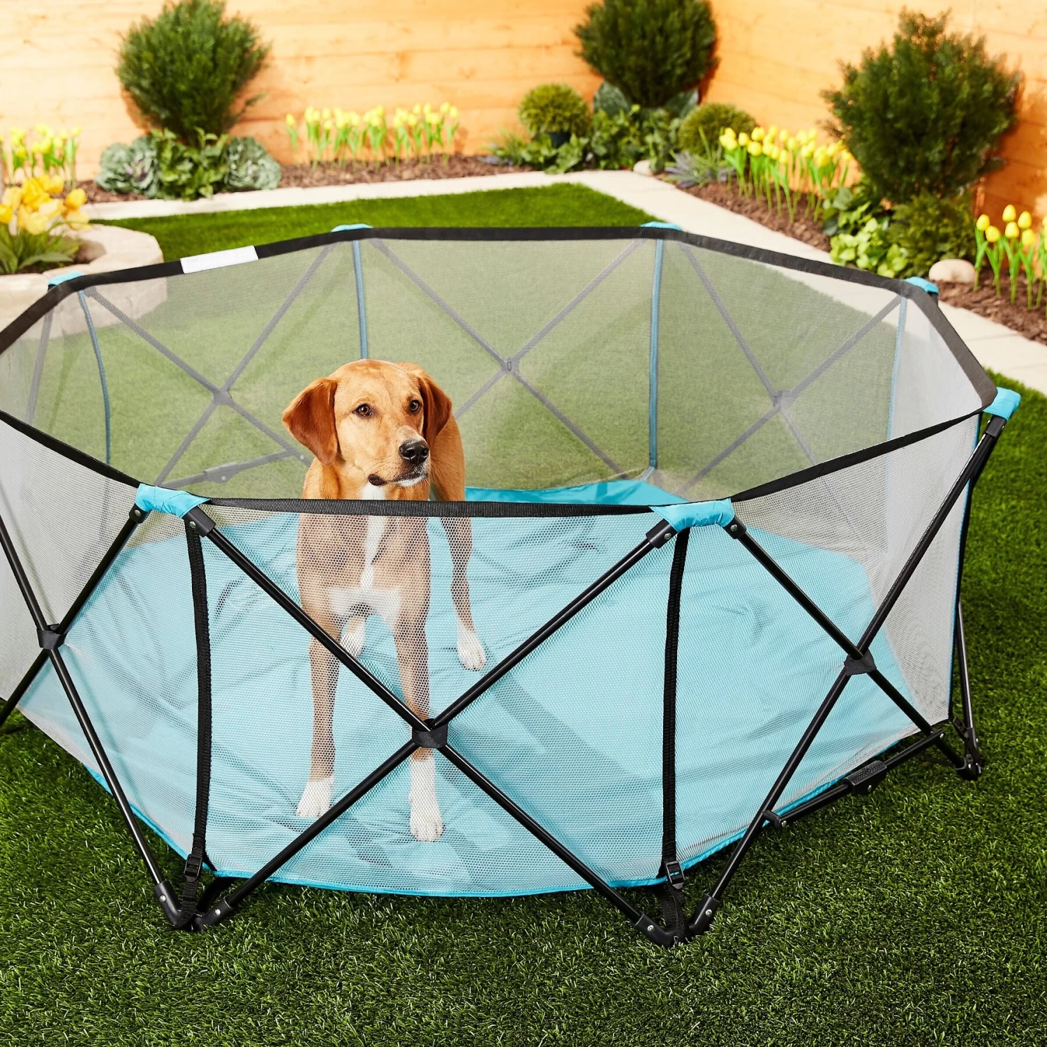 Regalo Pet Products My Play Portable Soft-sided Dog & Cat Playpen - Image 5