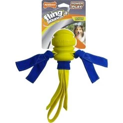 Nylabone Power Play Fling-a-Bounce Dog Fetch Toy