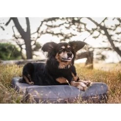 Big Barker Jr. Pillow Top With Headrest Orthopedic Dog Bed