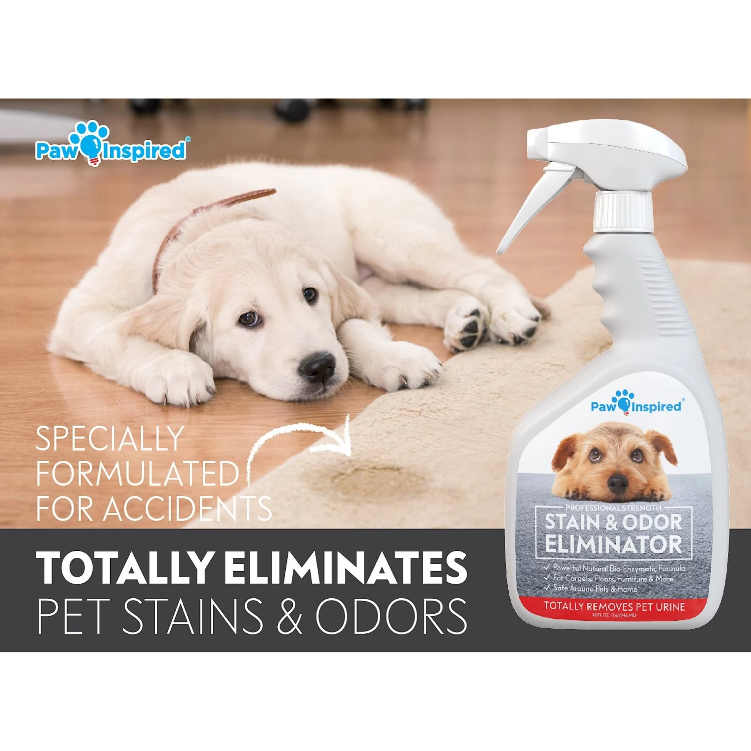 Paw Inspired Professional Dog Stain & Odor Eliminator Spray, 32-oz Bottle - Image 3