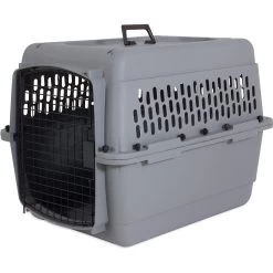 Aspen Pet Traditional Dog & Cat Carrier, Light Gray