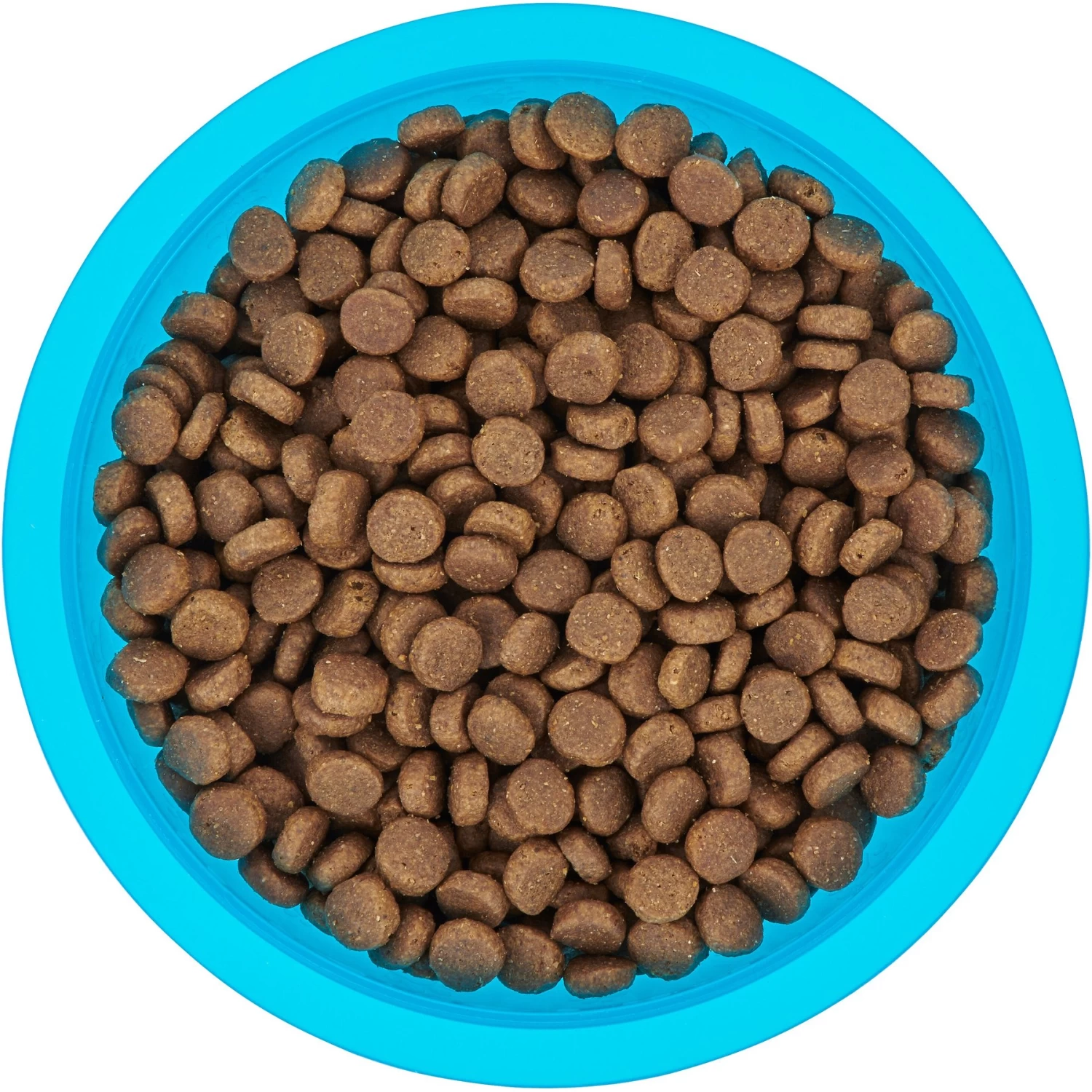 Frisco Plastic Suction Bowl, Blue - Image 5