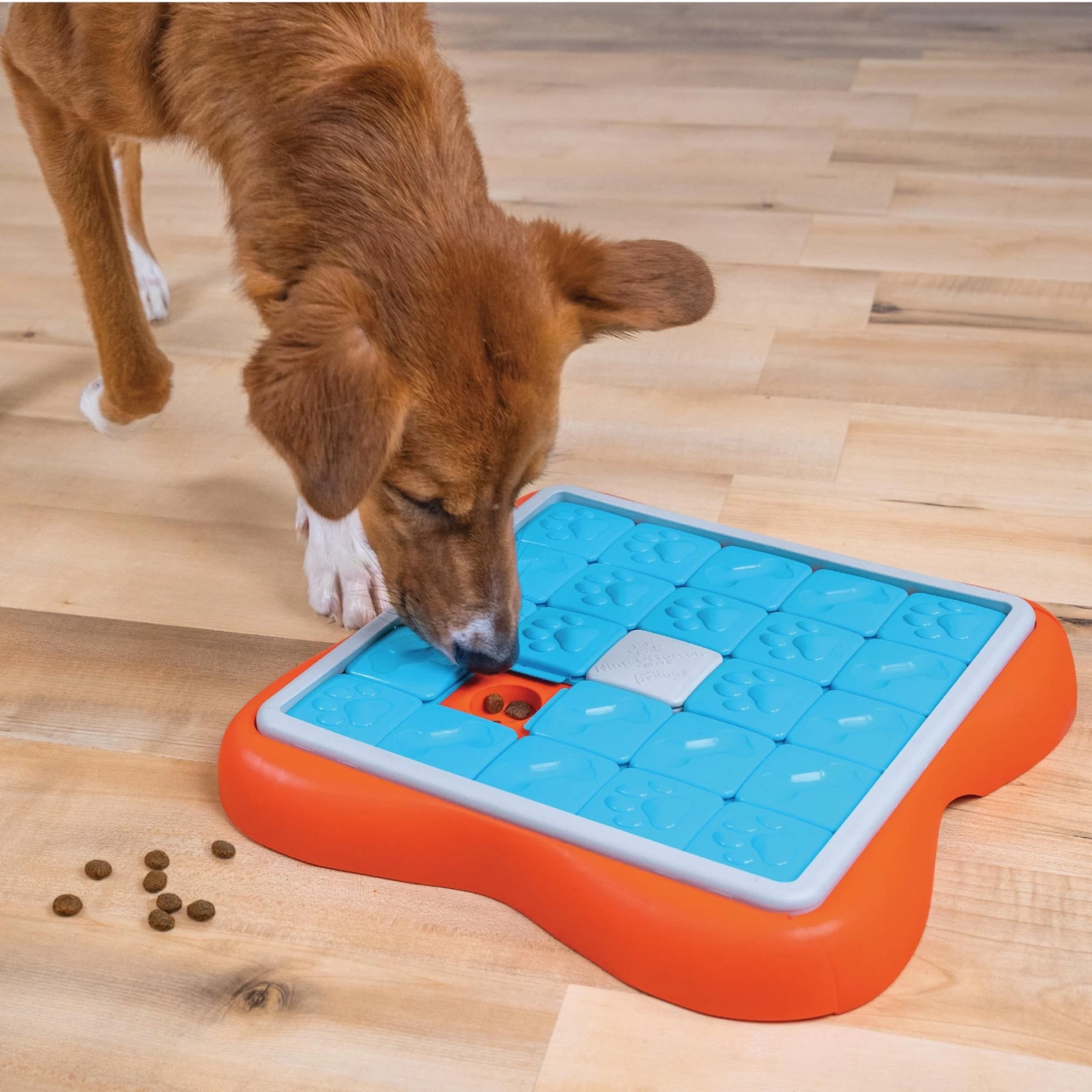 Nina Ottosson By Outward Hound Challenge Slider Dog Toy - Image 5