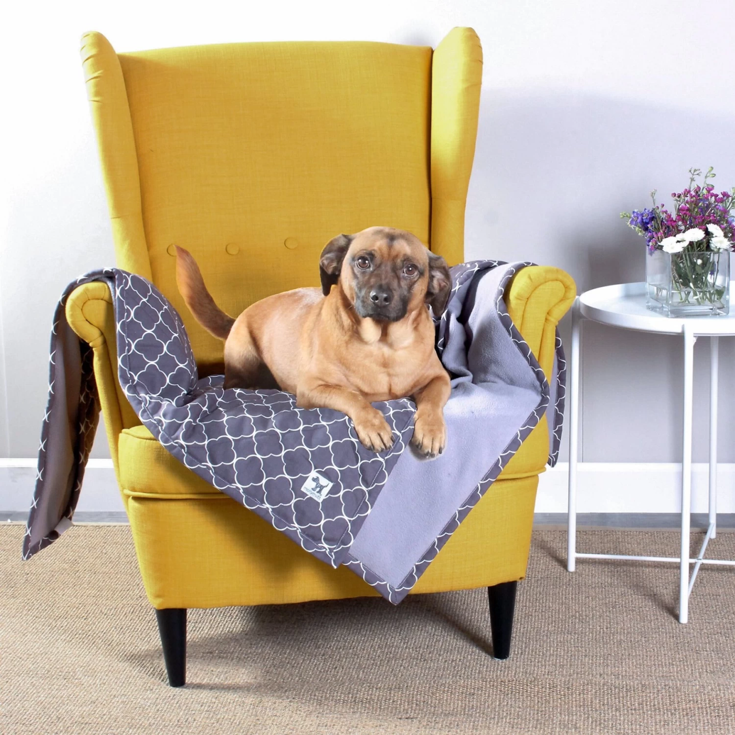 Molly Mutt Clark Gable Dog & Cat Blanket, Grey - Image 2