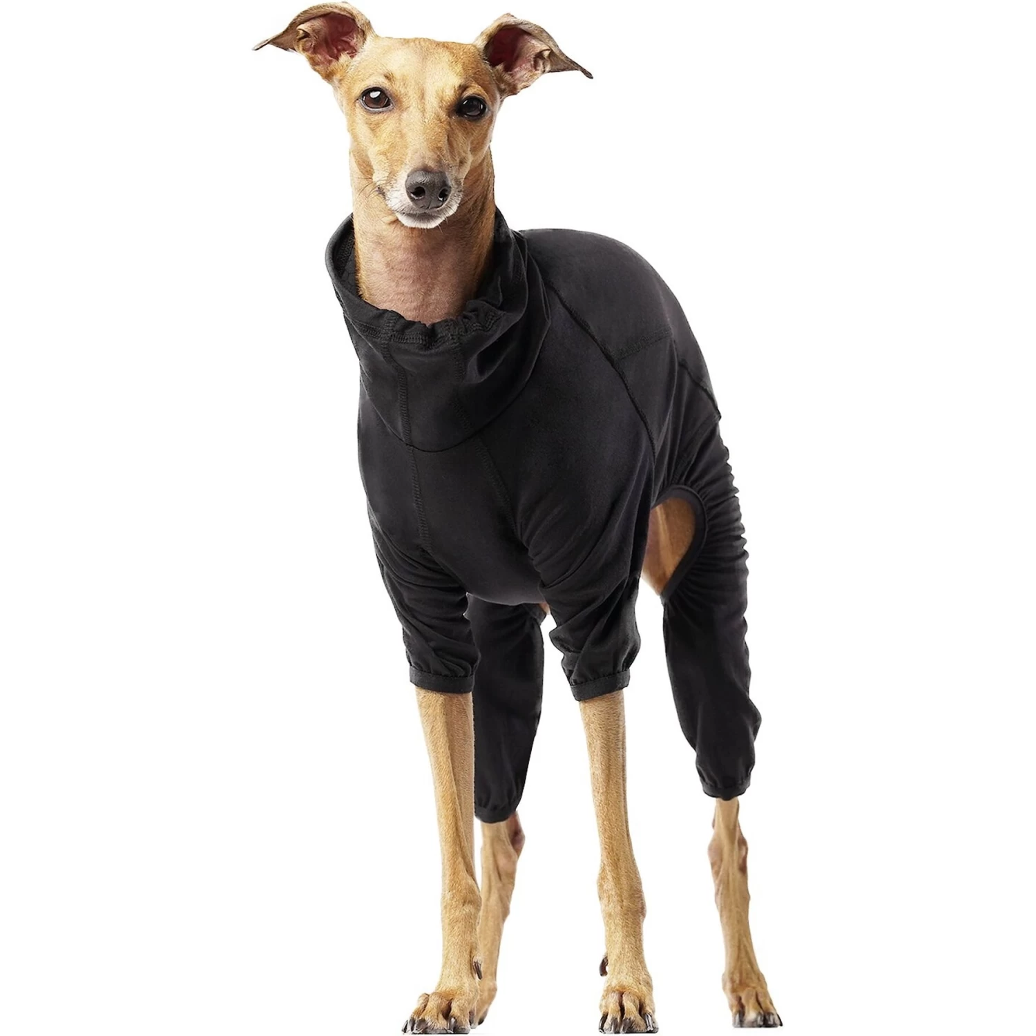 Canada Pooch Thermal Layer Dog Onesie, Black - Image 2
