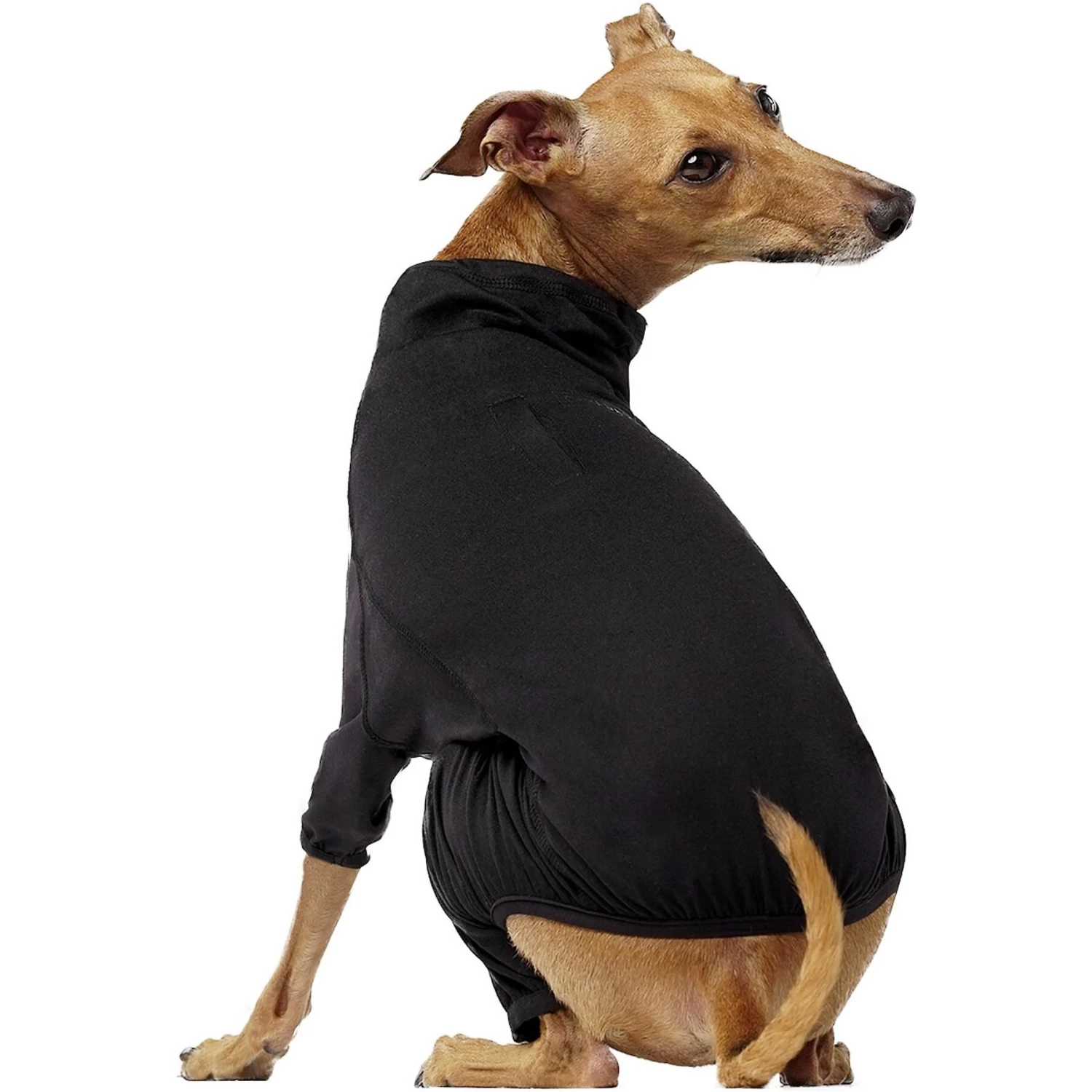 Canada Pooch Thermal Layer Dog Onesie, Black - Image 3