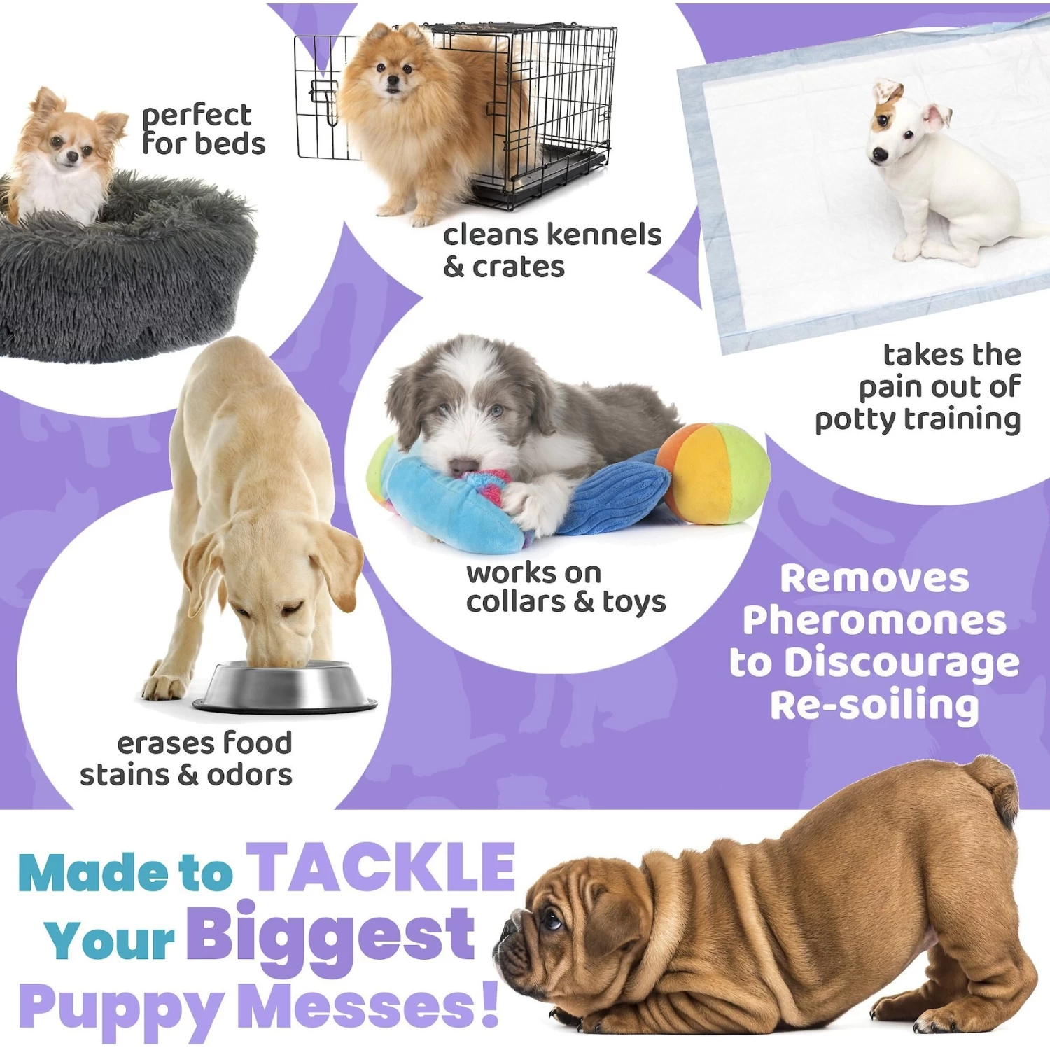 Unique Pet Care Fresh Lavender Puppy Odor + Stain Remover, 24-oz Bottle - Image 7