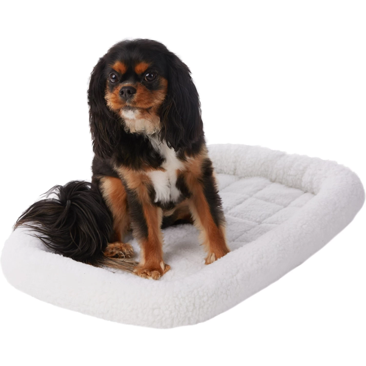 Frisco Heavy Duty Fold & Carry Single Door Collapsible Wire Dog Crate & Frisco Quilted Dog Crate Mat - Image 5