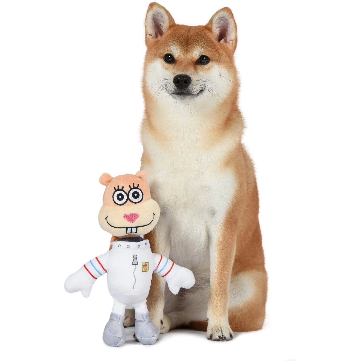 Fetch For Pets SpongeBob Sandy Squeaky Plush Dog Toy - Image 4