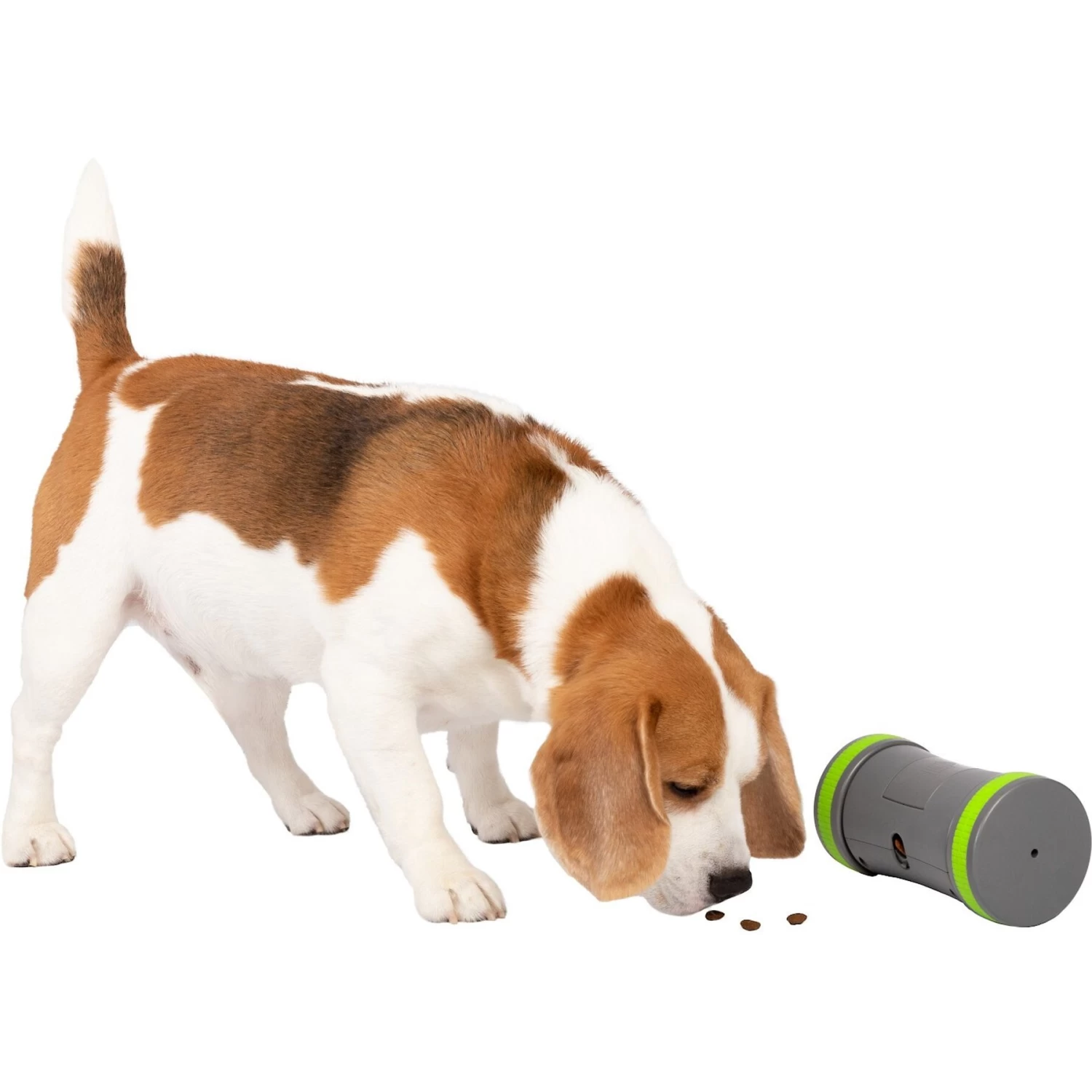 PetSafe Kibble Chase Roaming Treat Dropper Dog Toy - Image 7