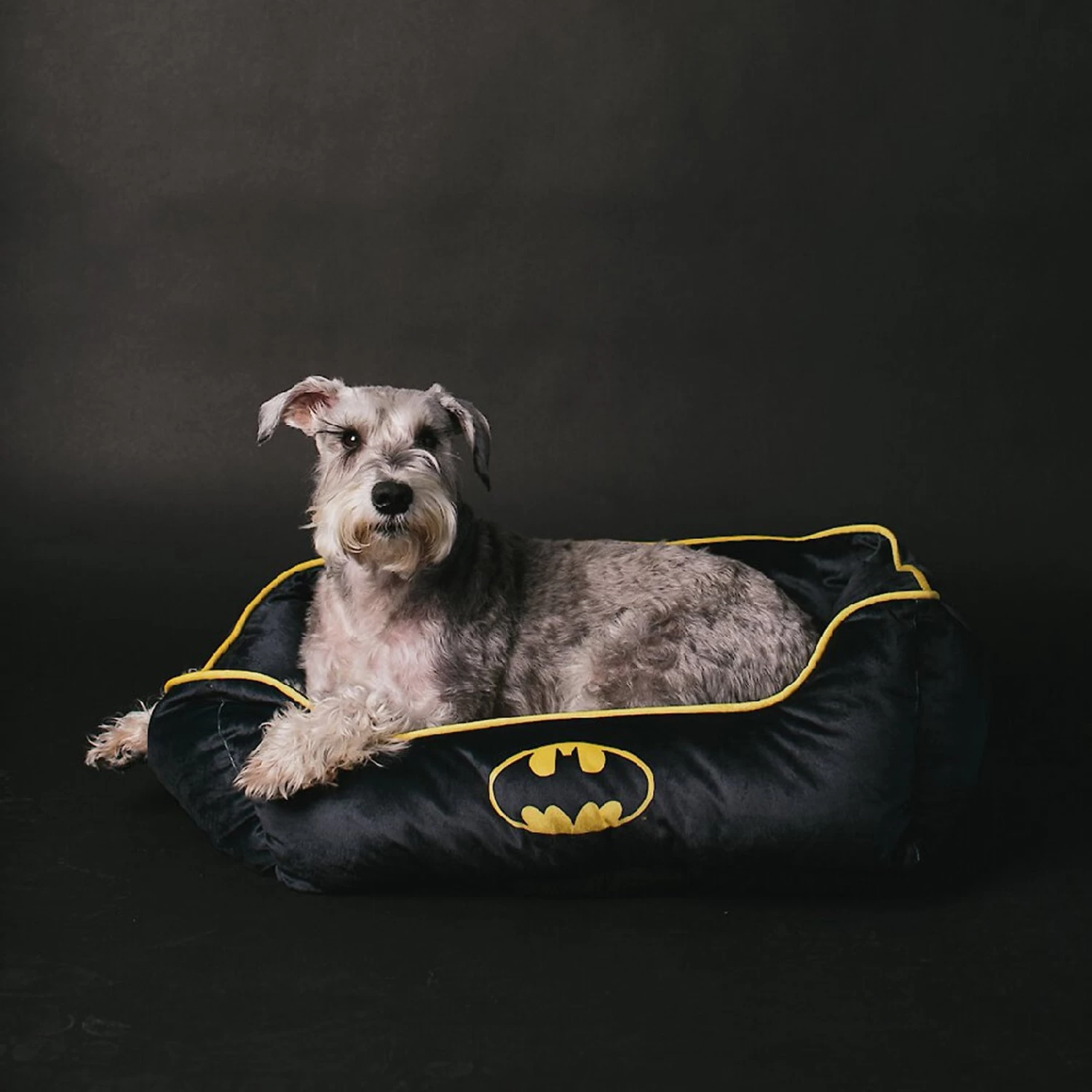 Buckle-Down Batman Bolster Dog Bed - Image 5