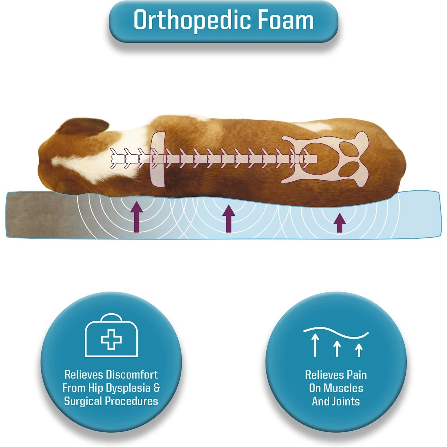 Canine Creations Orthopedic Pillow Topper Dog Bed - Image 5