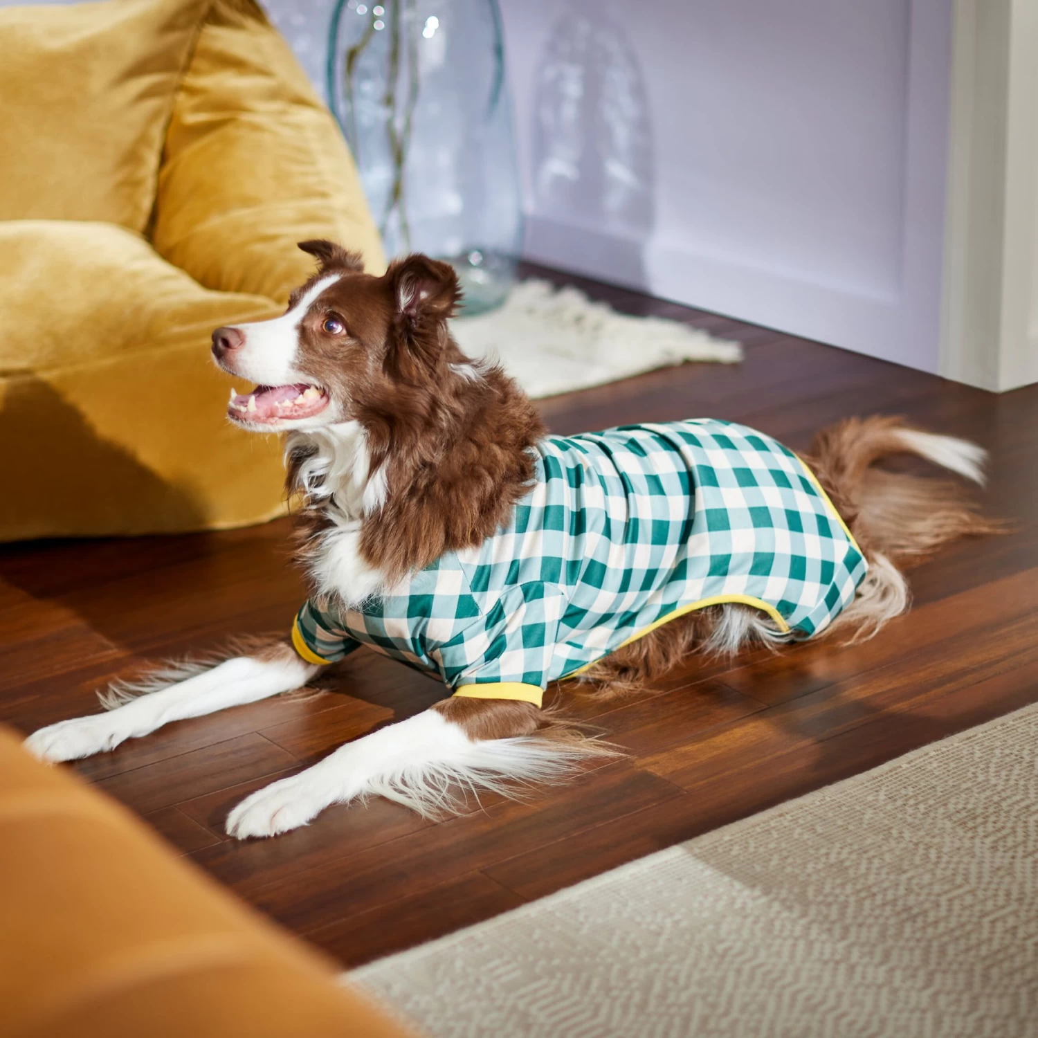 Frisco Boho Gingham Dog & Cat PJs - Image 6