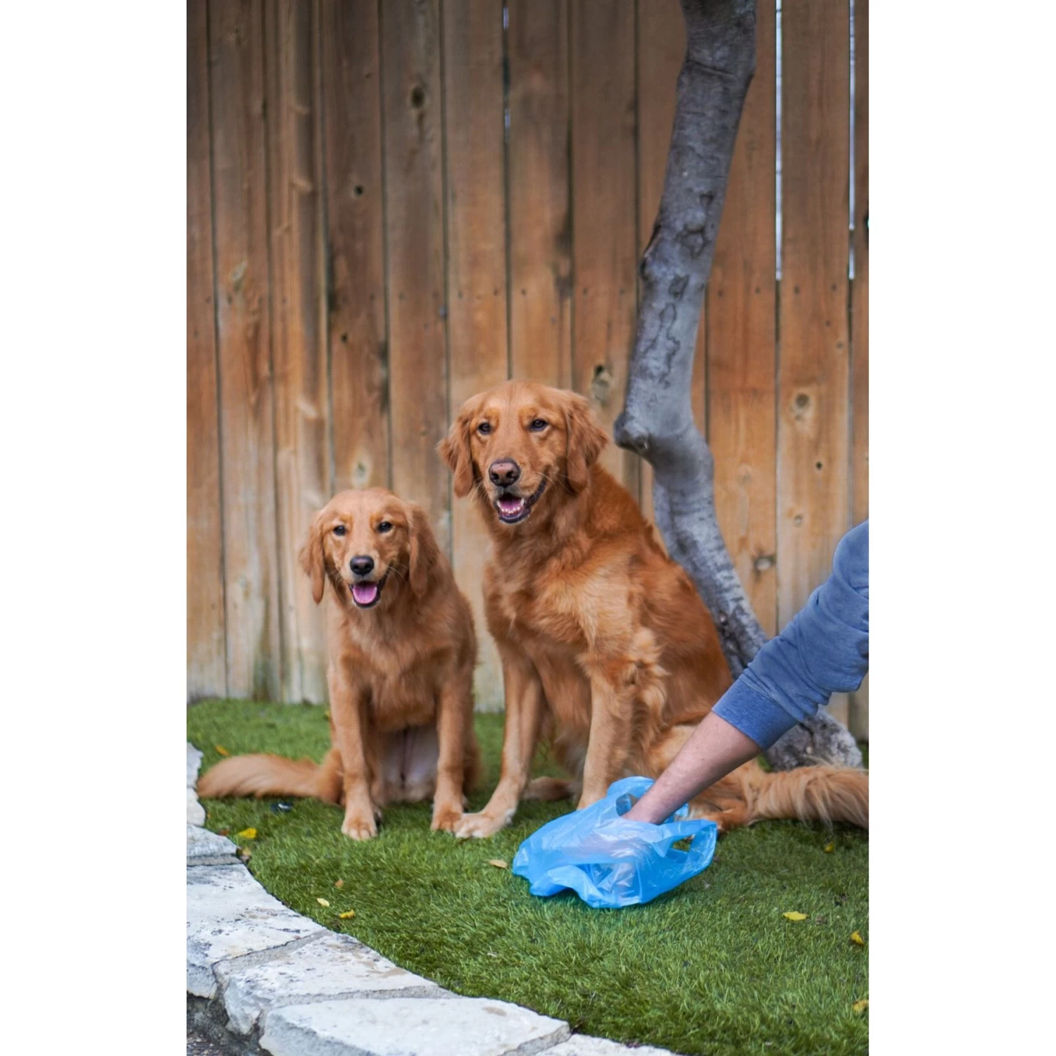 Four Paws Wee-Wee Outdoor Odor Control Heavy Duty Dog Waste Bags Refill Rolls, 120 Count - Image 2