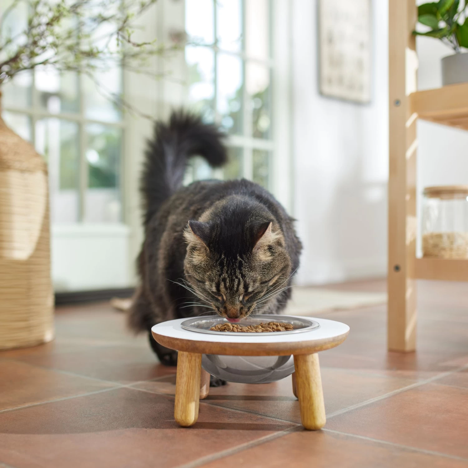 Frisco Premium Round Shape Elevated Single Dog & Cat Bowl - Image 4