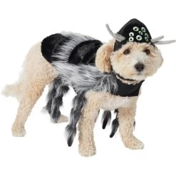 Frisco Spider Dog & Cat Costume