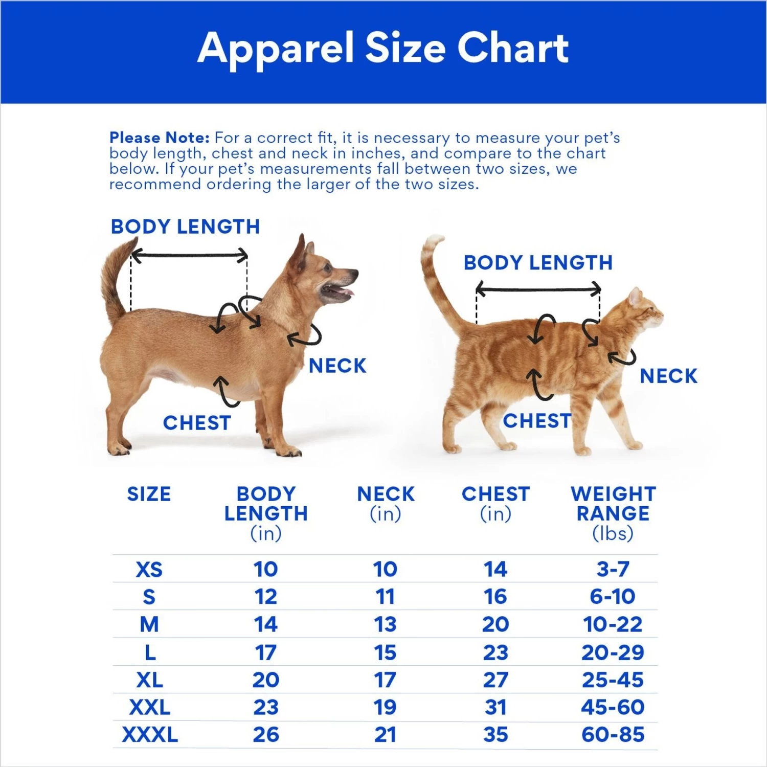 Marvel 's Loki Varient Lightweight Dog & Cat Jacket - Image 2