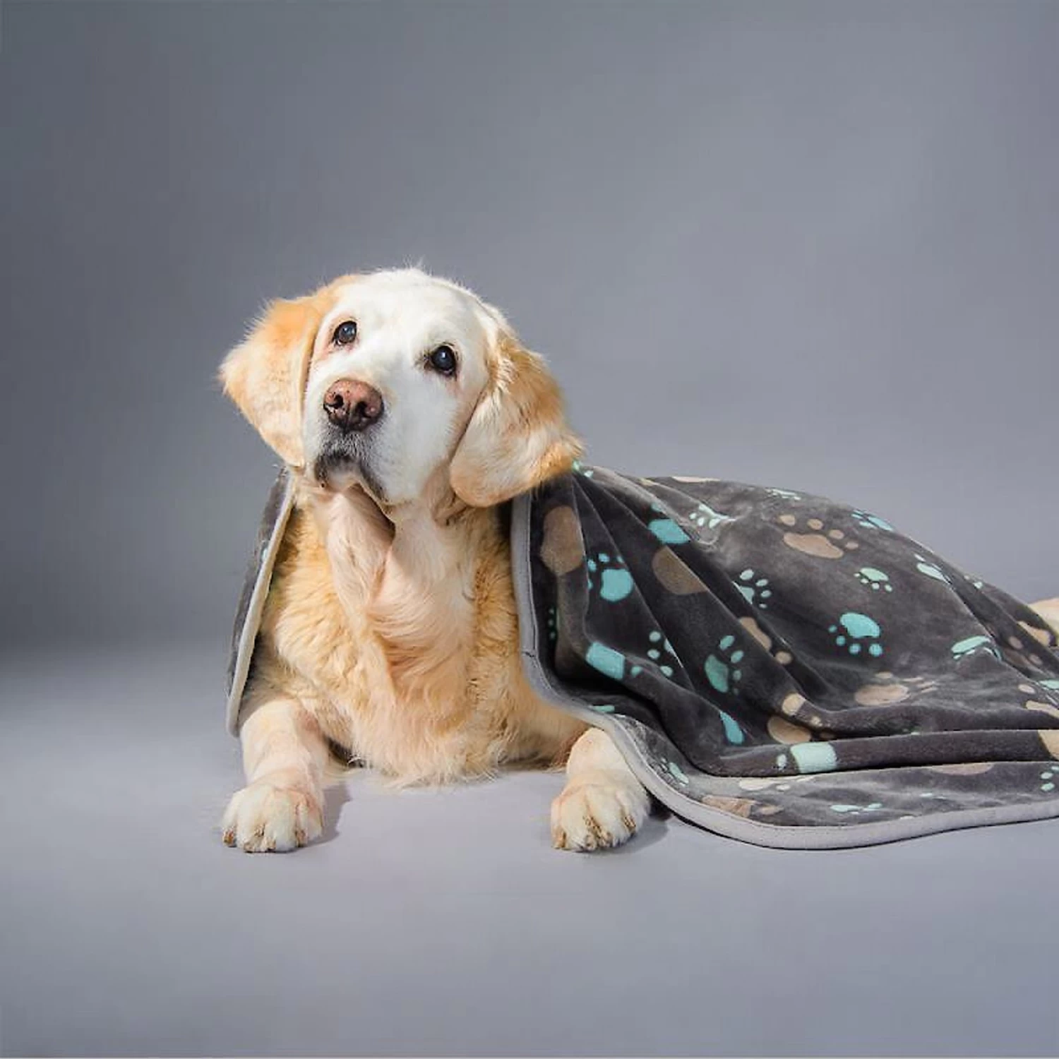 Allisandro Microplush Fleece Polyester Dog & Cat Blanket - Image 3