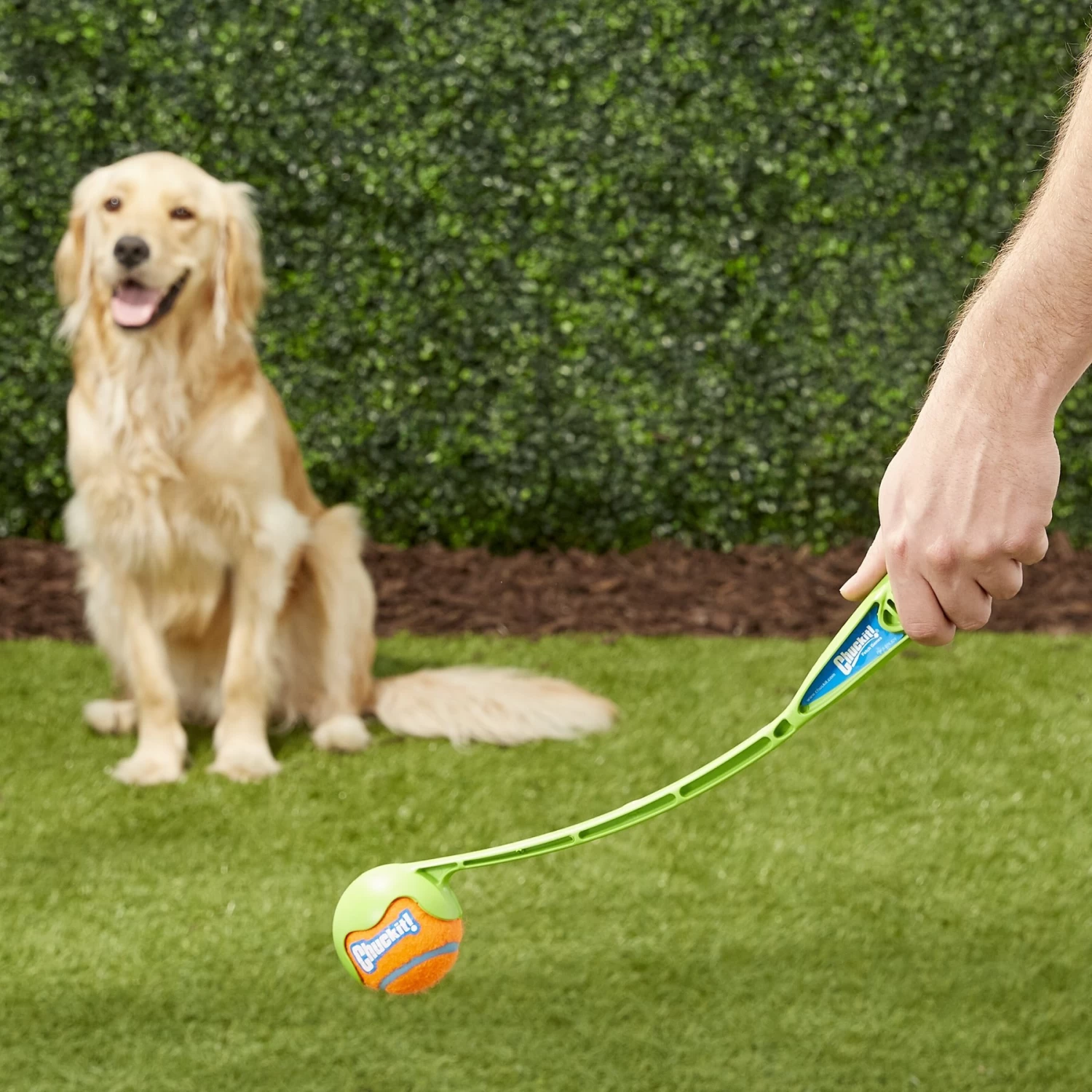 Chuckit! Junior Launcher Dog Toy, Color Varies - Image 2