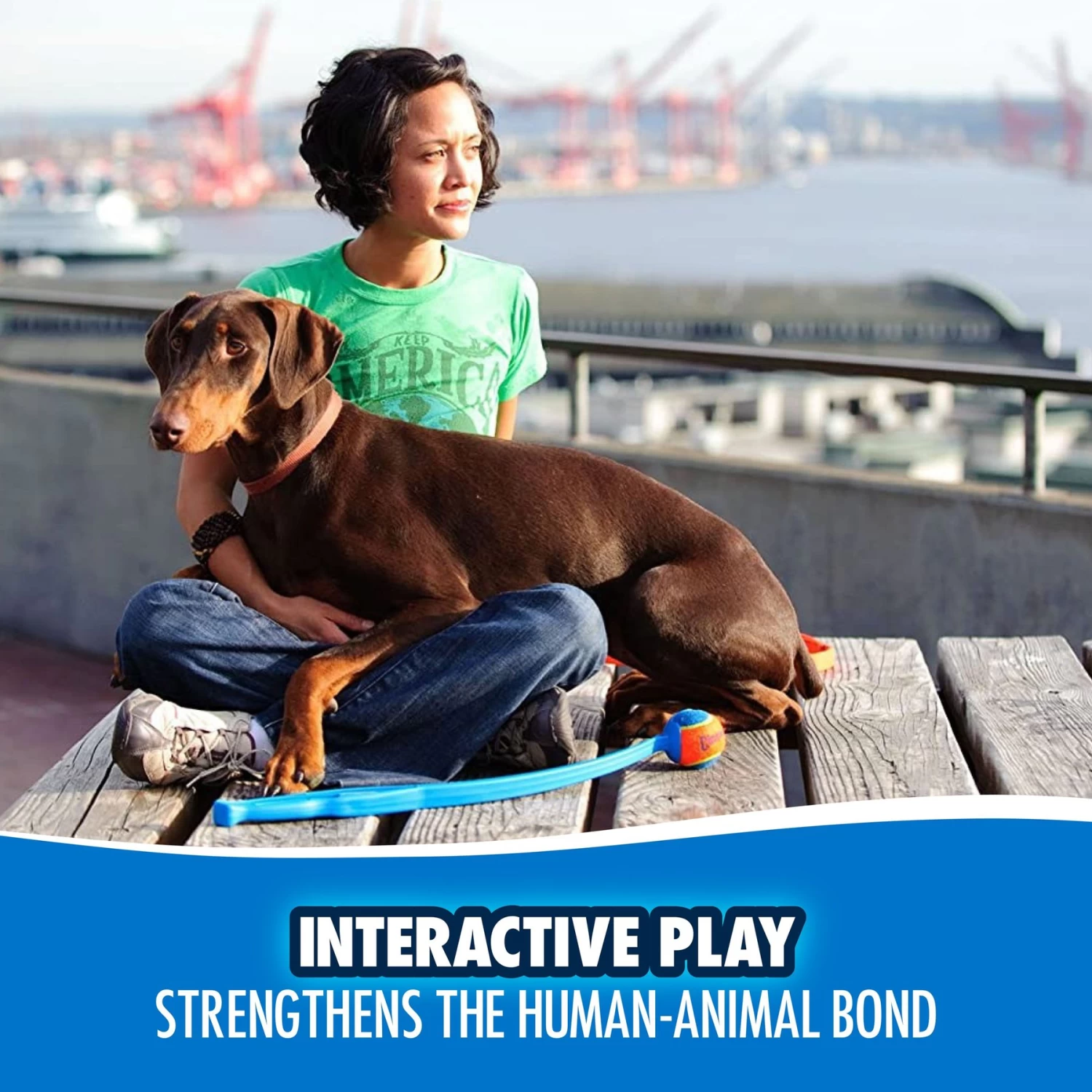 Chuckit! Junior Launcher Dog Toy, Color Varies - Image 5