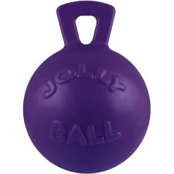 Jolly Pets Tug-n-Toss Dog Toy, Purple