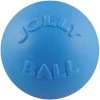 Jolly Pets Bounce-n-Play Dog Toy, Blueberry