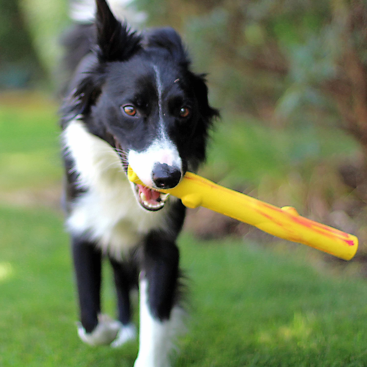 Ruff Dawg Stick Dog Fetch Toy, Color Varies - Image 3