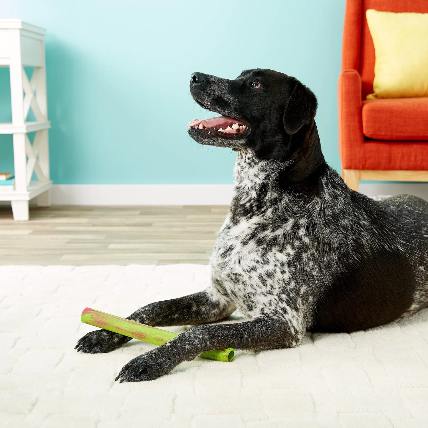 Ruff Dawg Stick Dog Fetch Toy, Color Varies - Image 5