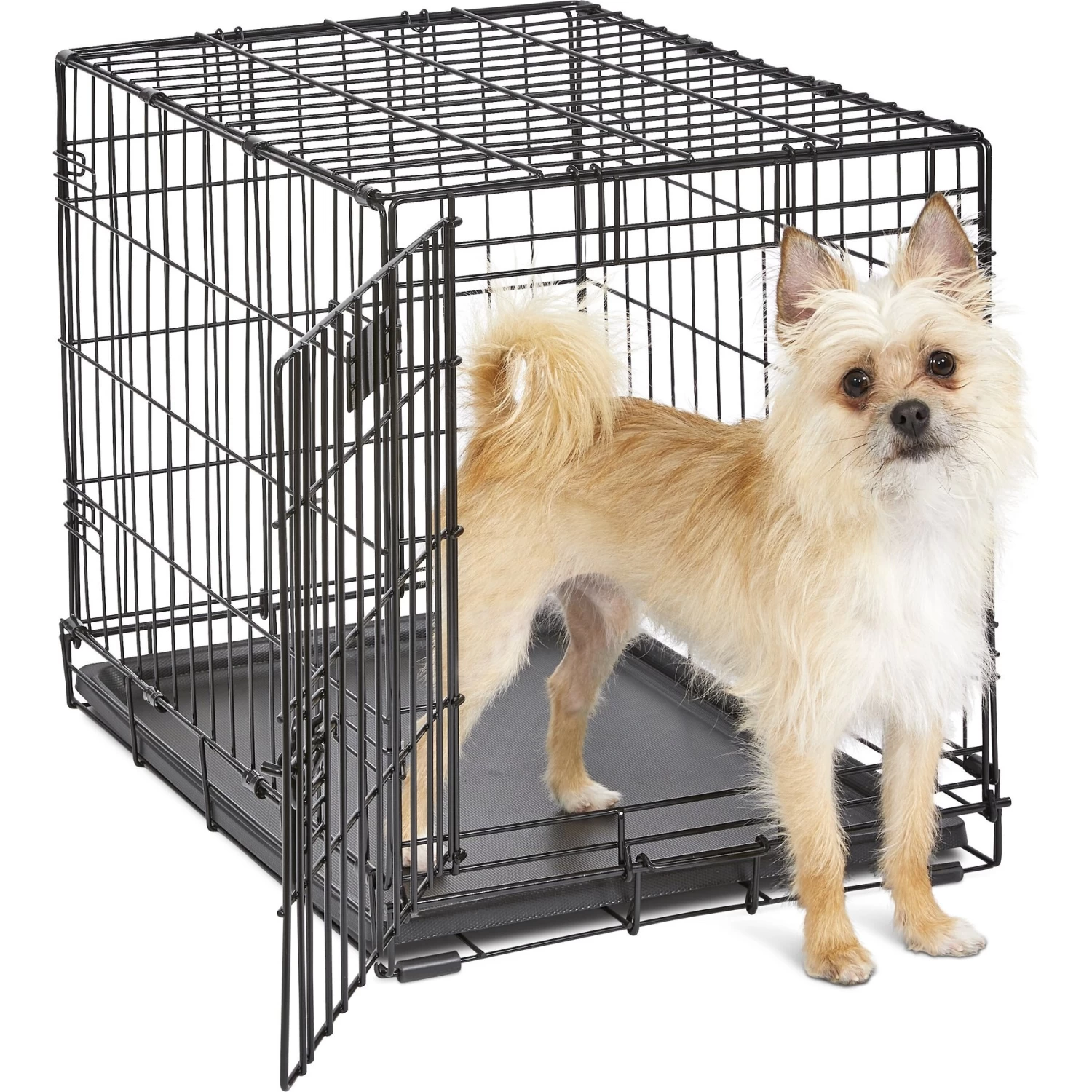 MidWest ICrate Fold & Carry Single Door Collapsible Wire Dog Crate - Image 2