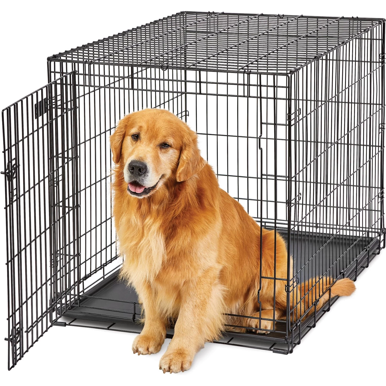 MidWest LifeStages Single Door Collapsible Wire Dog Crate