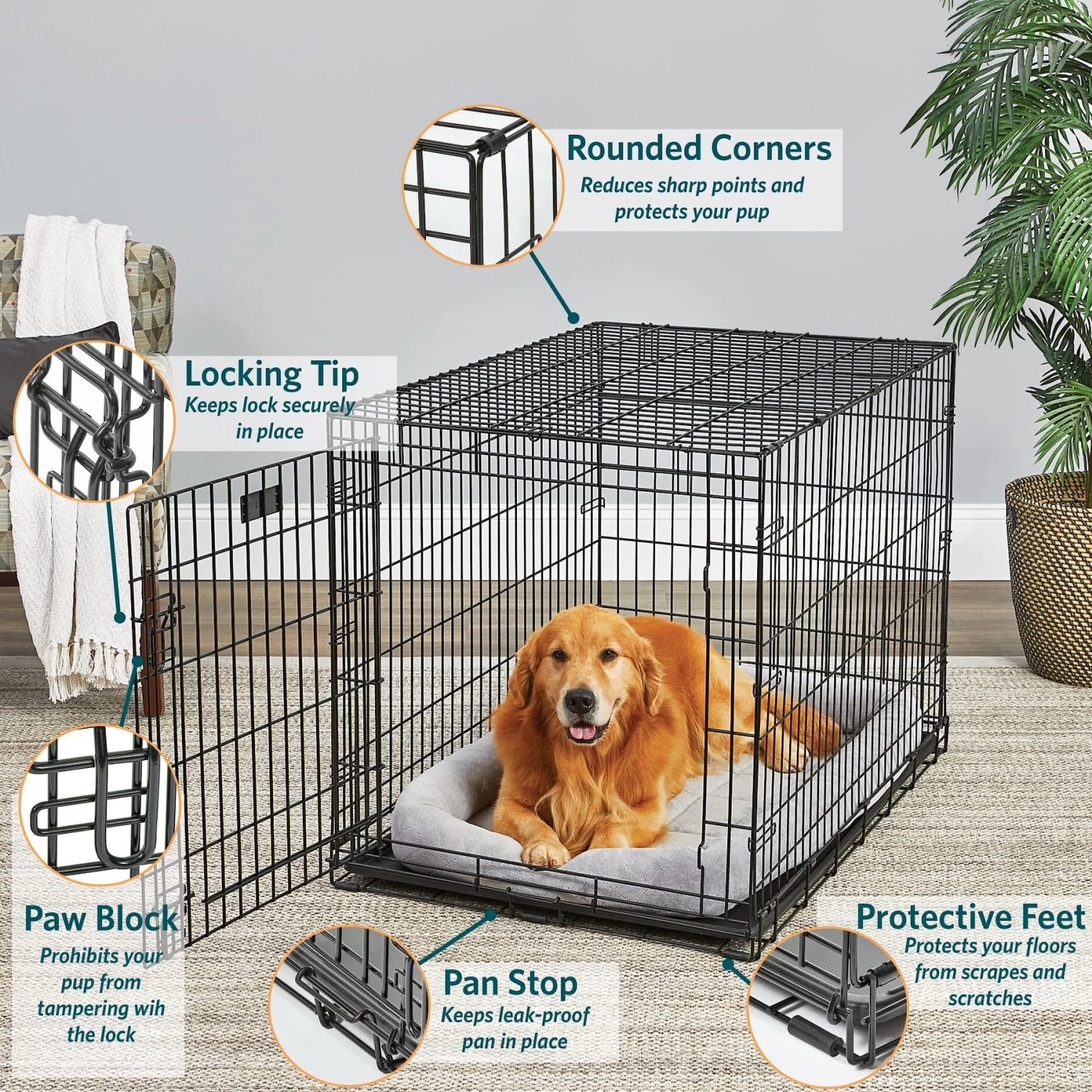MidWest LifeStages Single Door Collapsible Wire Dog Crate - Image 2