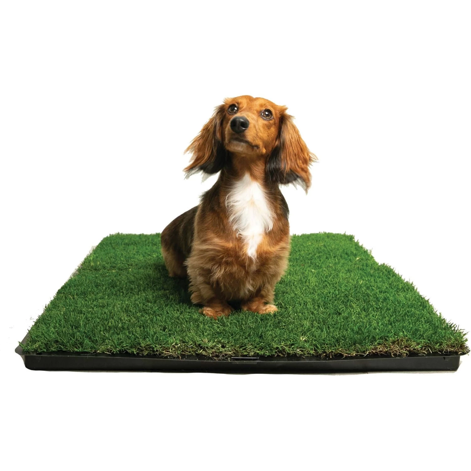 Gotta Go Grass The Natural Relief Dog Potty Pads, 16-in X 24-in - Image 5