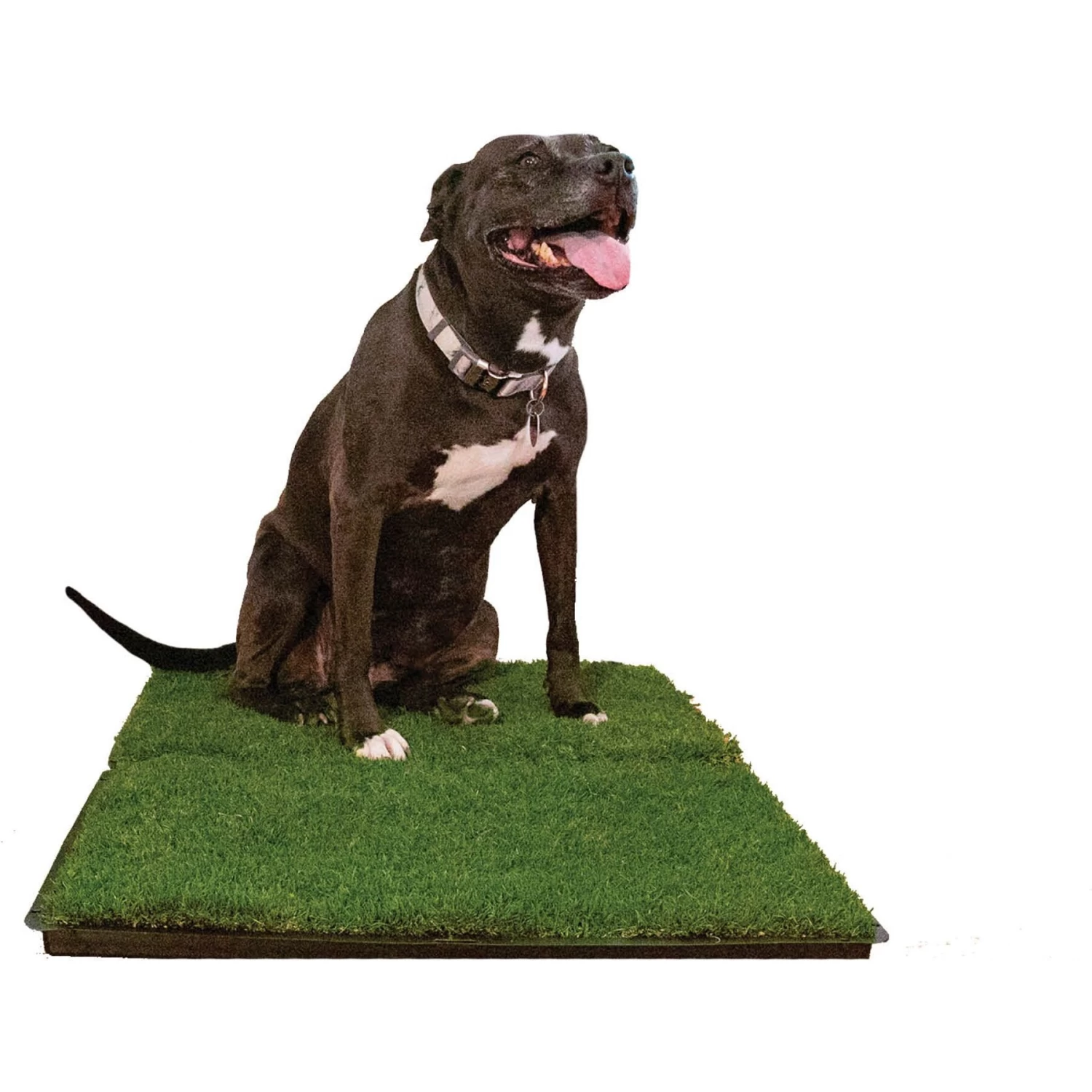 Gotta Go Grass The Natural Relief Dog Potty Pads, 16-in X 24-in, 2 Count - Image 5
