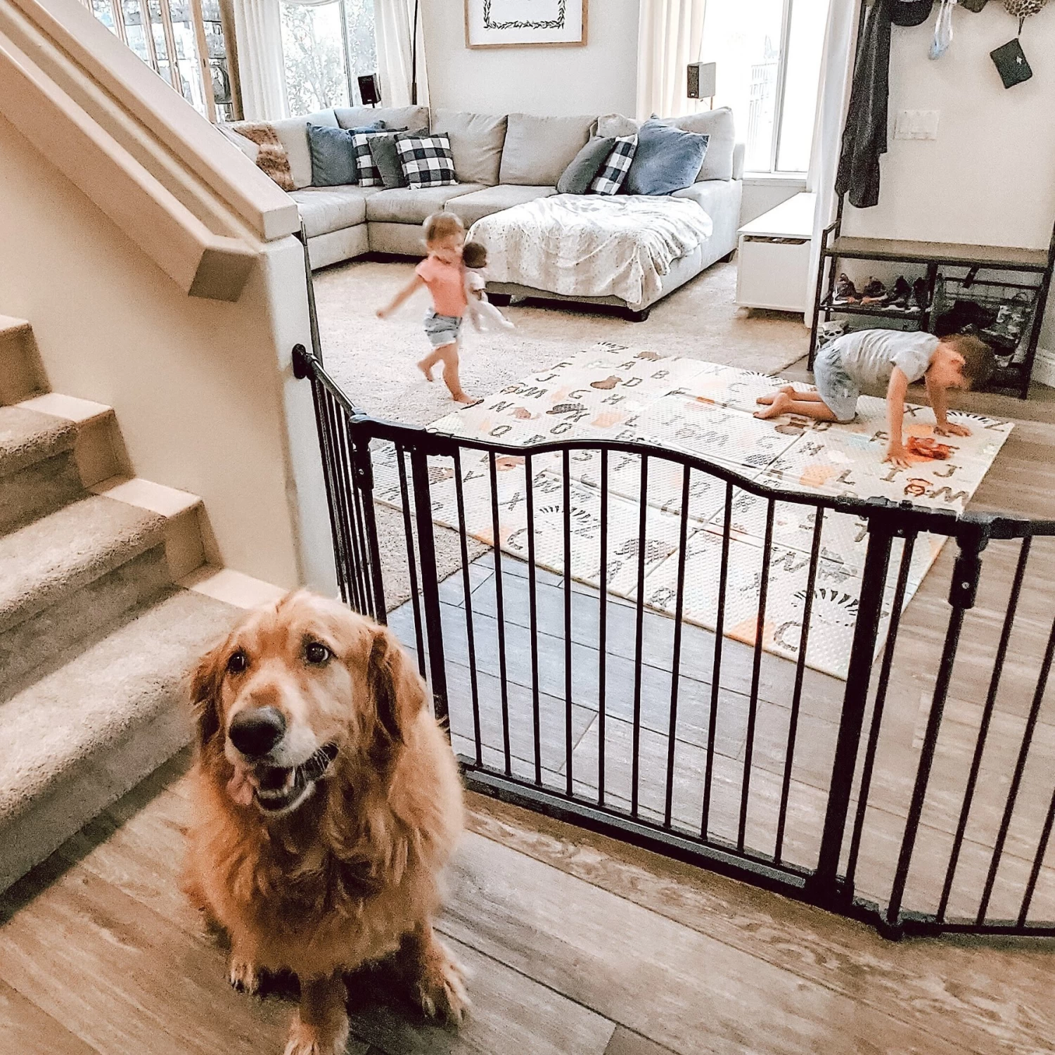 MyPet Windsor Extra Wide Arch Pet Gate For Dogs & Cats - Image 2