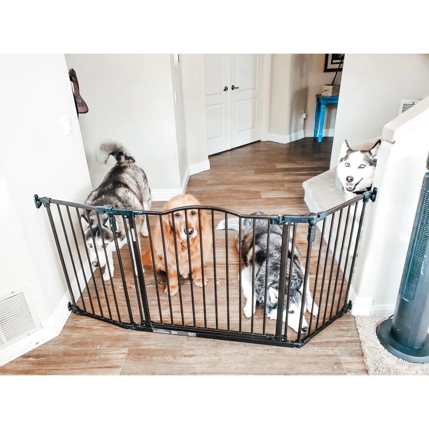 MyPet Windsor Extra Wide Arch Pet Gate For Dogs & Cats - Image 3