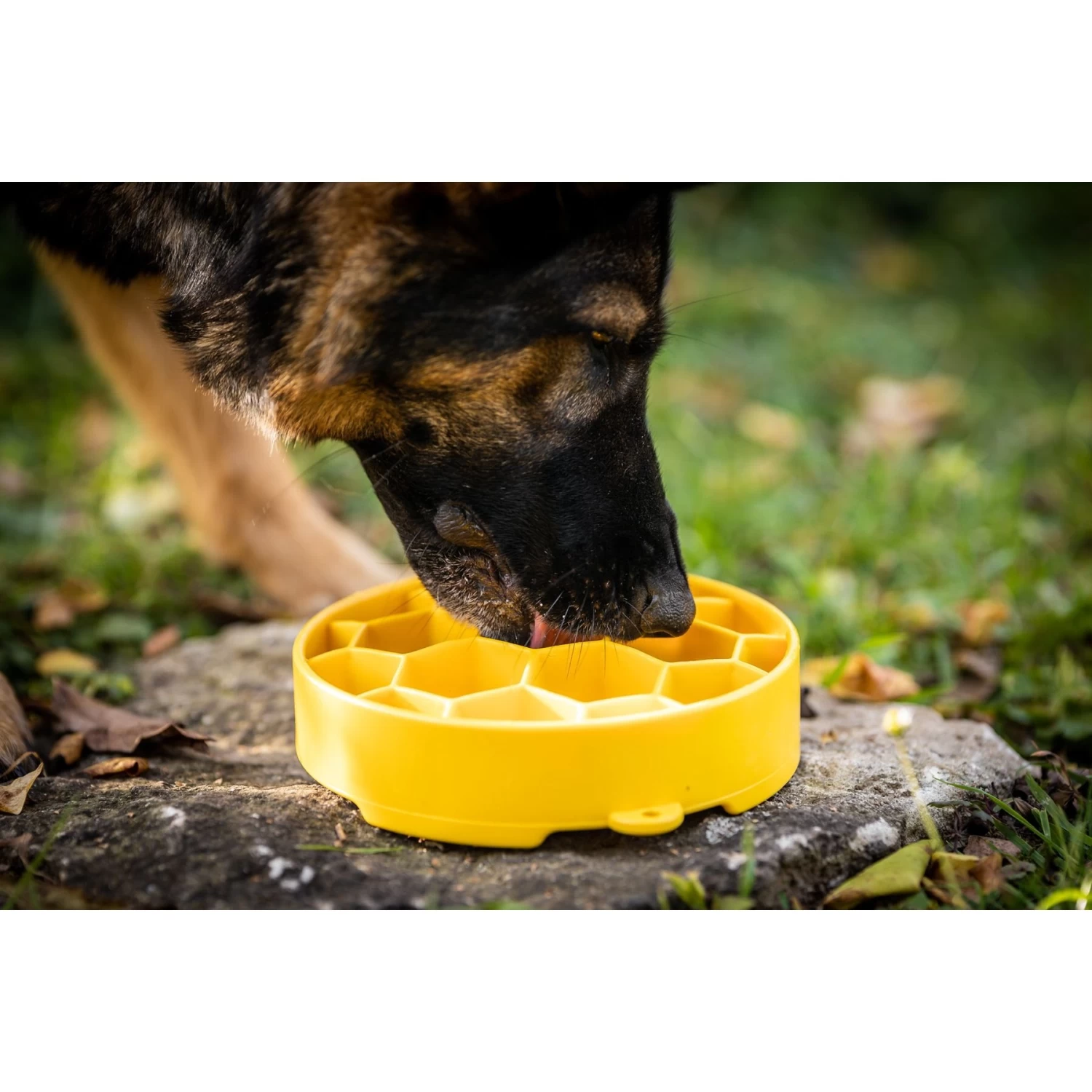 SodaPup Honeycomb Slow Feeder Dog Bowl, Yellow, Large - Image 4