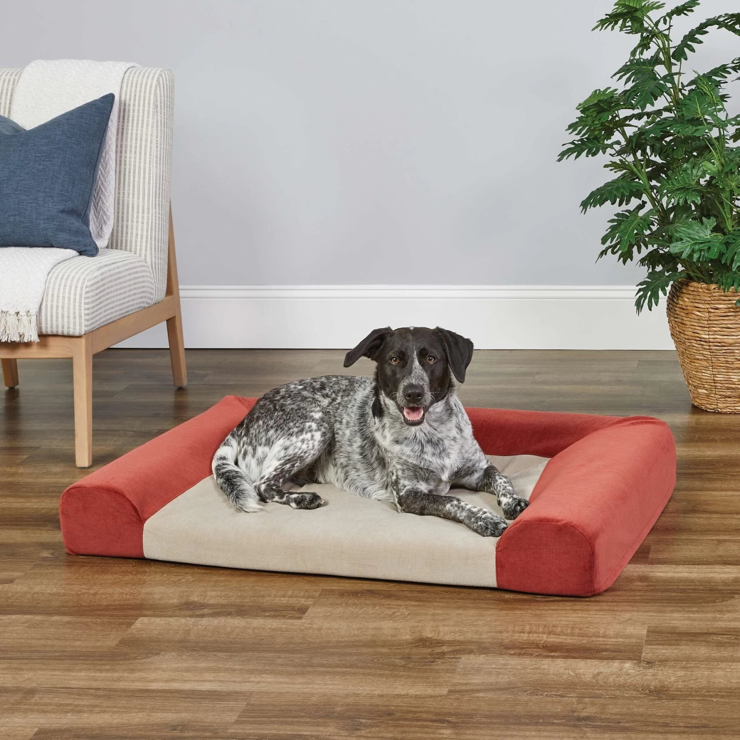MidWest Signature QuietTime Memory Foam Dog & Cat Bed Sofa - Image 3