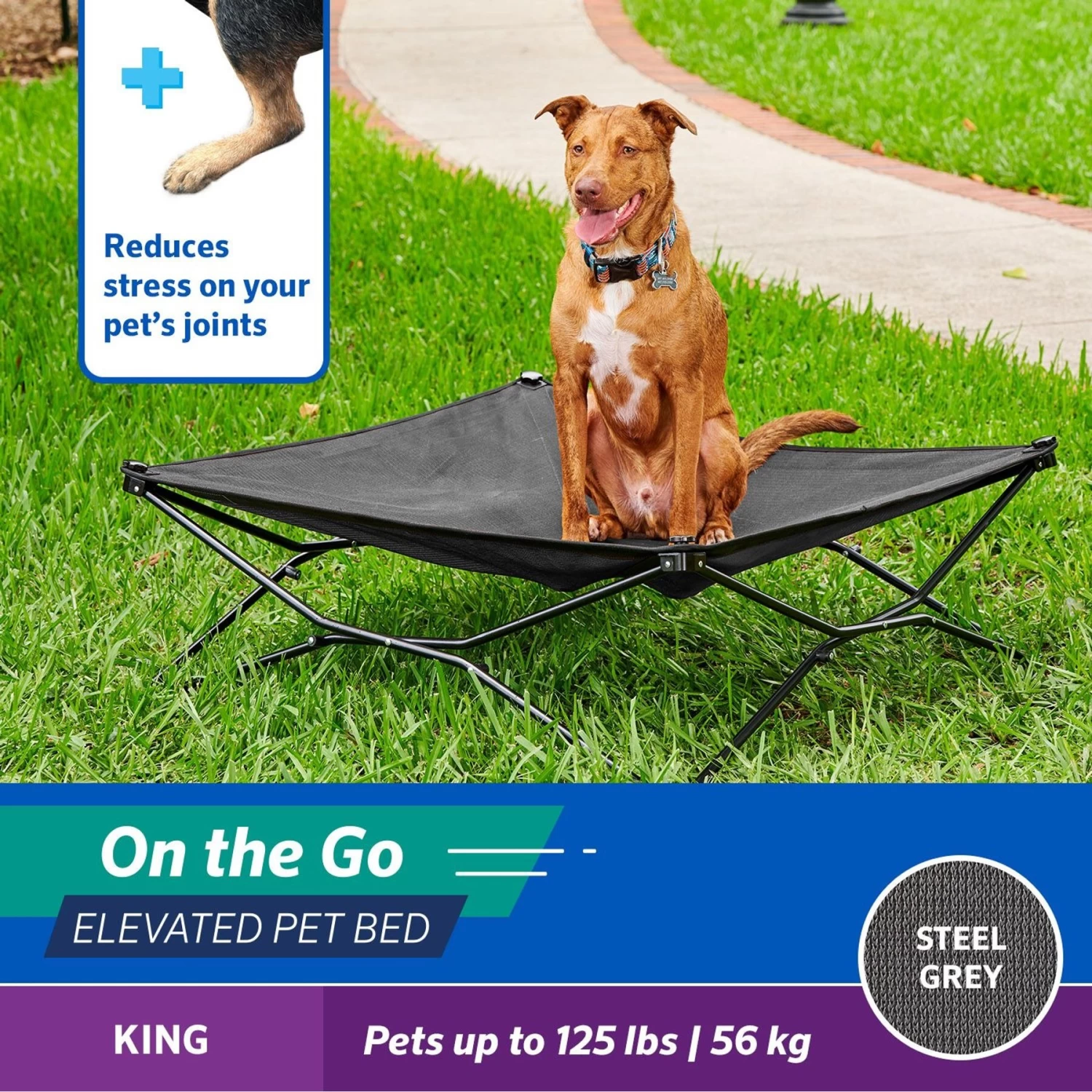Coolaroo On The Go Elevated Cat & Dog Bed With Removable Cover - Image 3