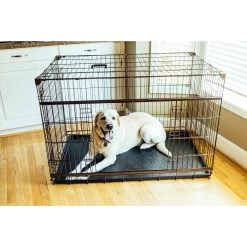 Lucky Dog DWELL Series Dog Crate