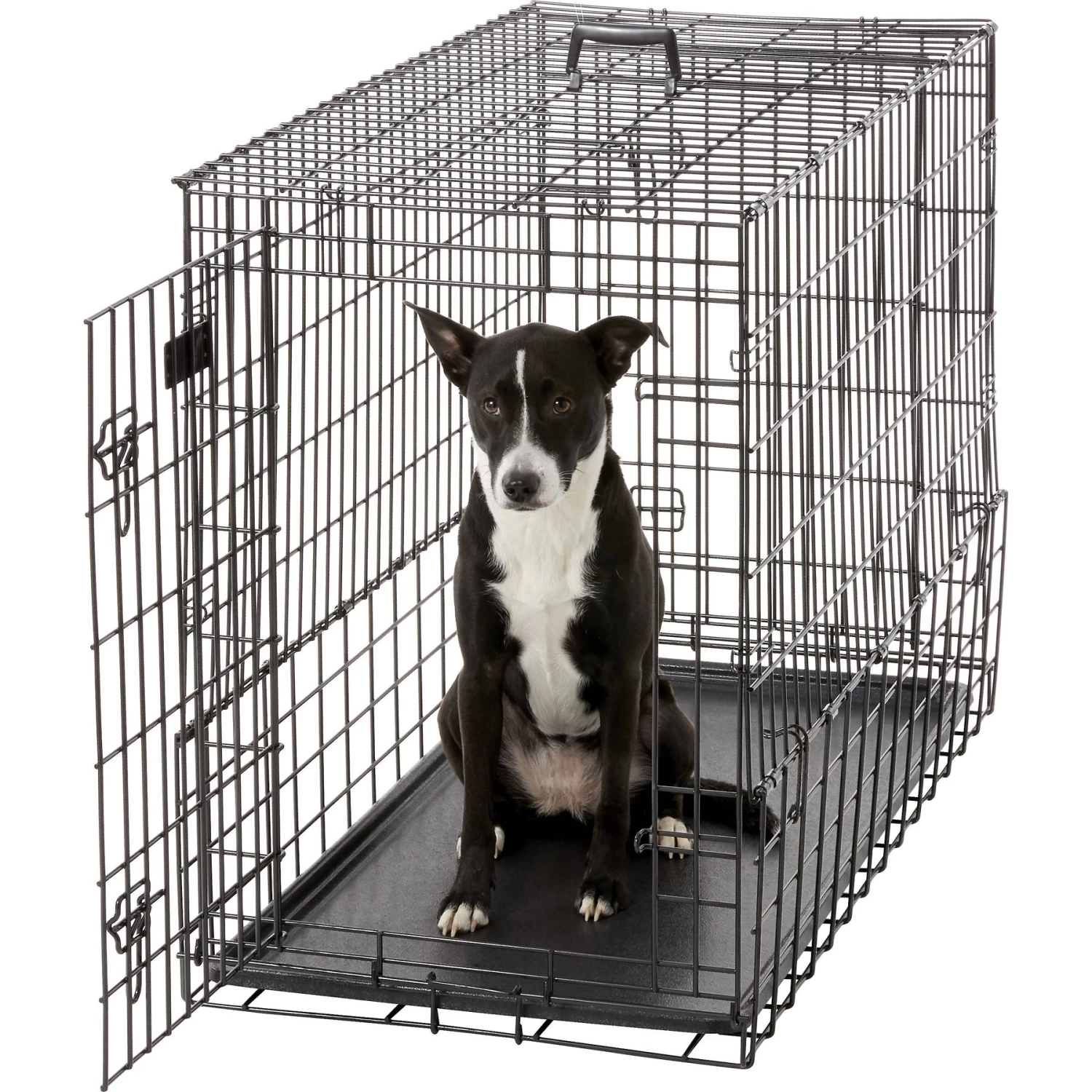 MidWest Solutions Series Side By Side Double Door Collapsible SUV Dog Crate - Image 4