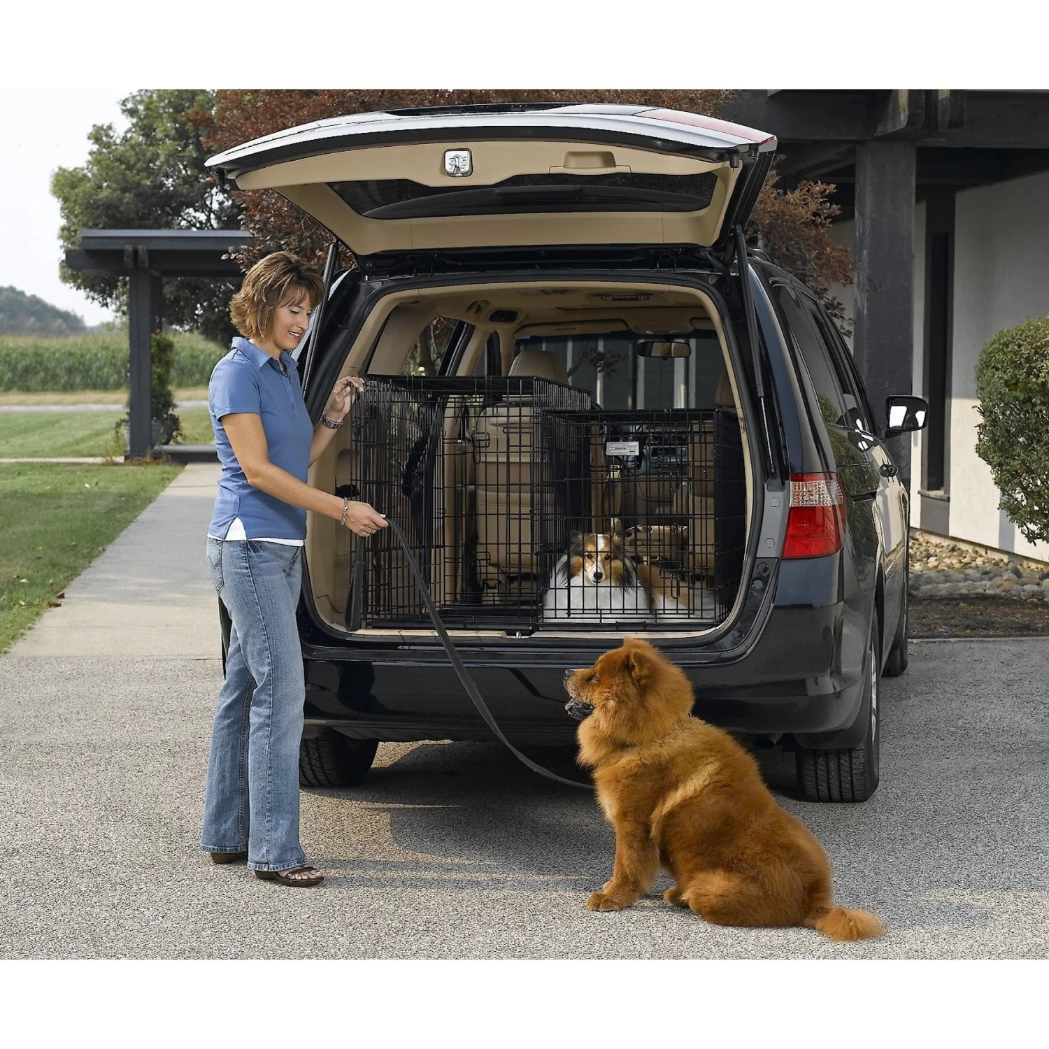 MidWest Solutions Series Side By Side Double Door Collapsible SUV Dog Crate - Image 5
