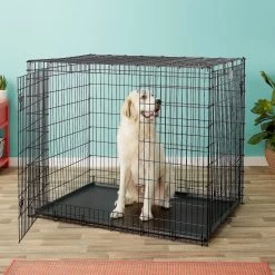 MidWest Solutions Series XX-Large Heavy Duty Double Door Wire Dog Crate, 54 Inch